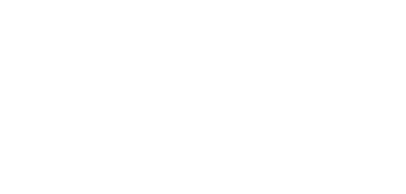 D.Studio Art